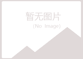 岷县字迹出版有限公司